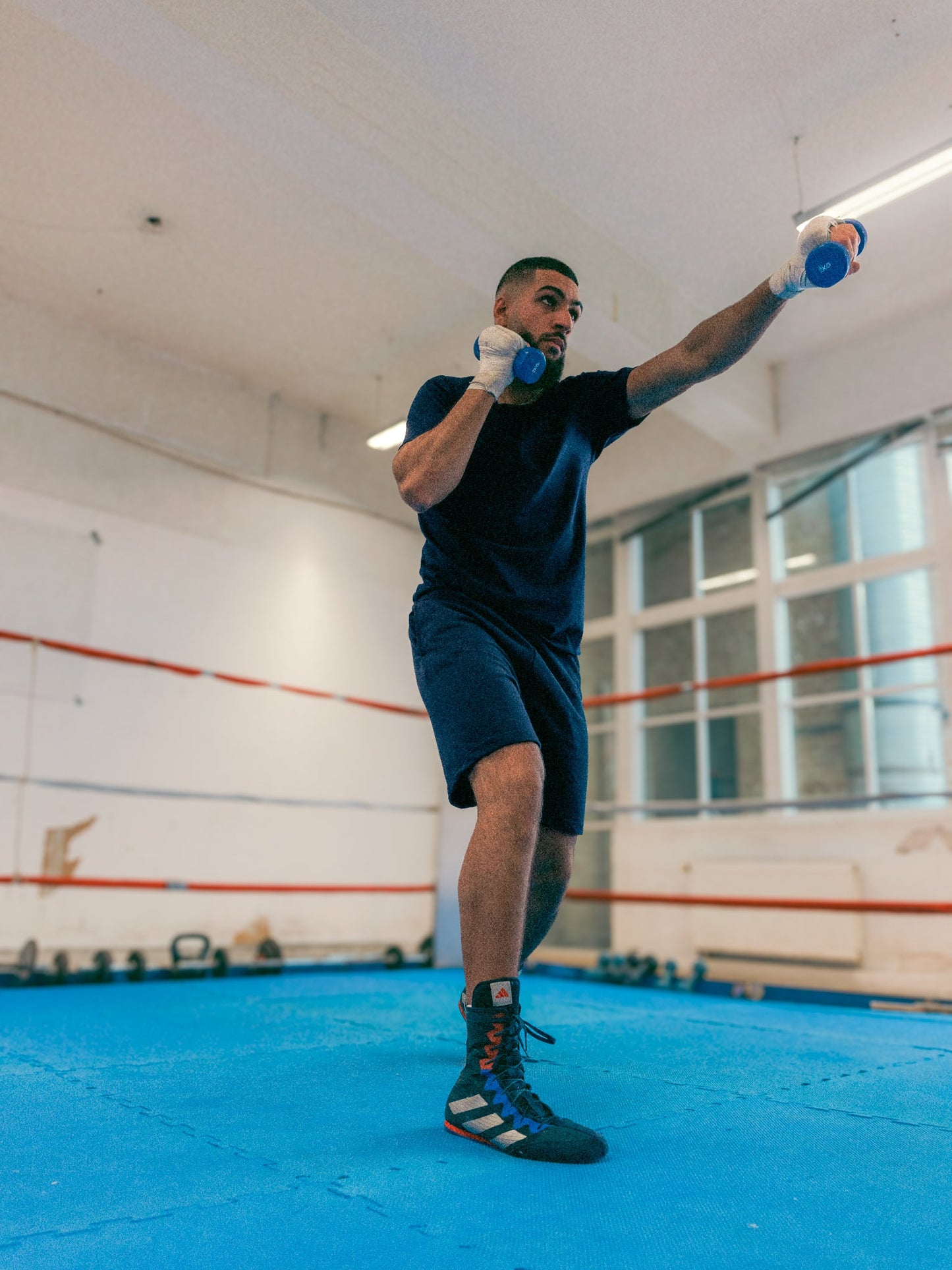 Le boom de la boutique citrouille